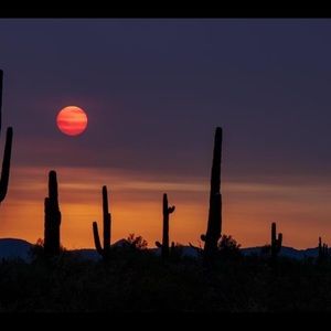 Meet your Posher, Pete